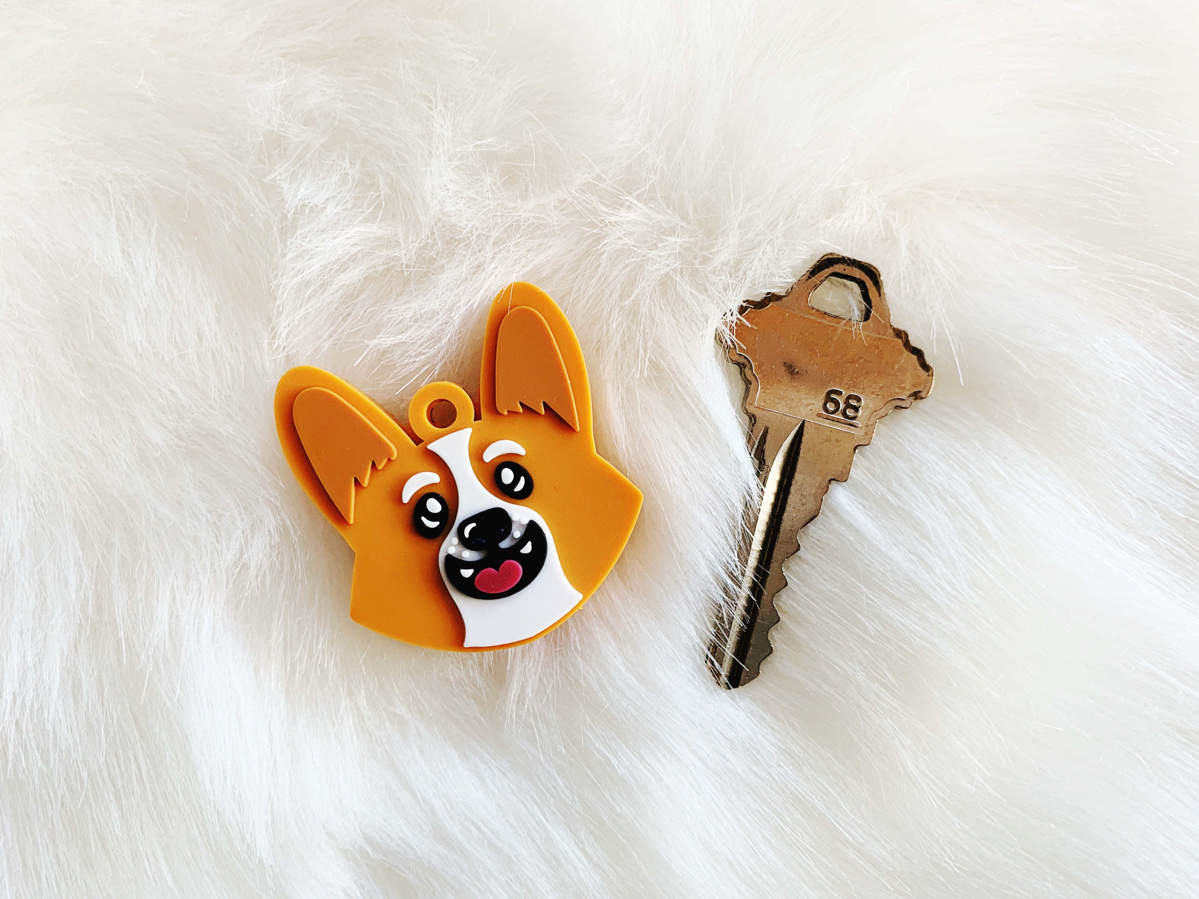 Corgi sales key cover
