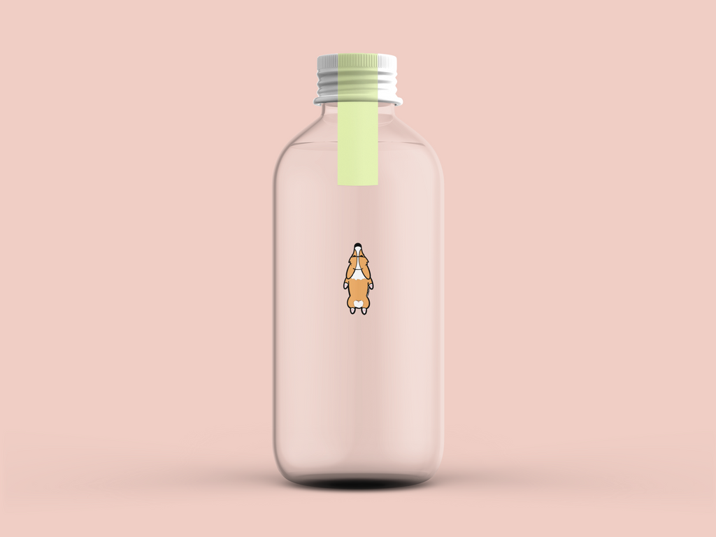 Splooticus Minis Clear Vinyl Stickers - Momo Patch